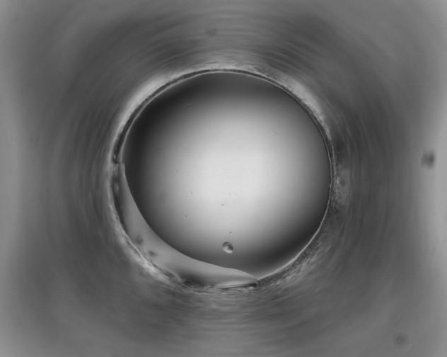 X0000097871096200803141252