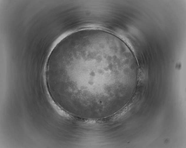X0000097871098200803141252