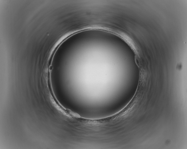 X0000097871100200803141252
