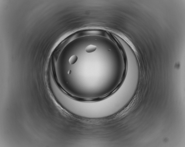 X0000097871101200803141252