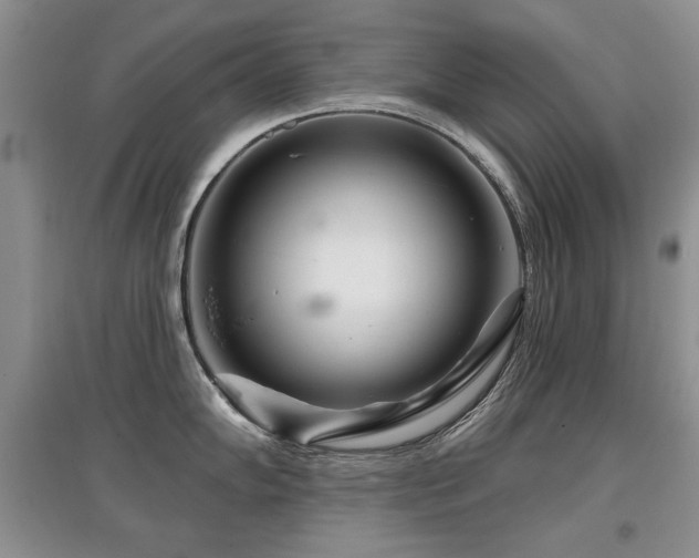 X0000097871102200803141252