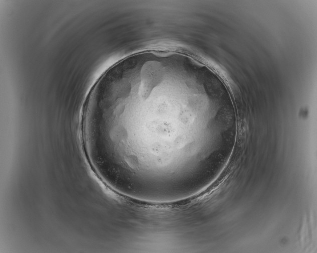 X0000097871103200803141252