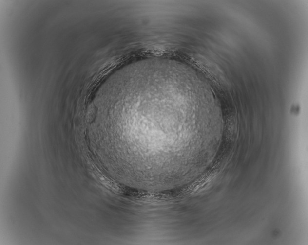 X0000097871105200803141252