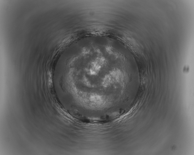 X0000097871106200803141252