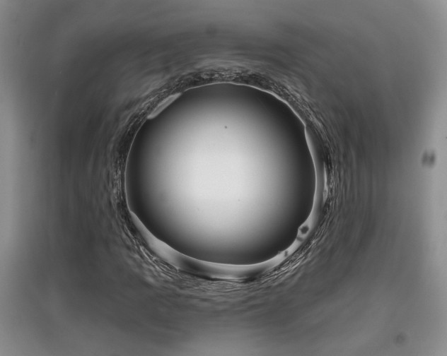 X0000097871109200803141252