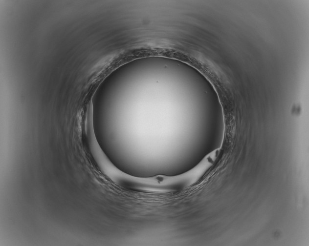 X0000097871110200803141252