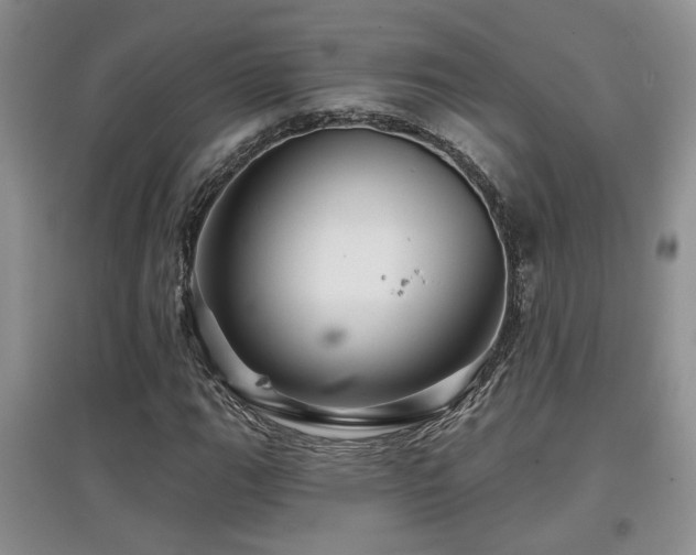 X0000097871111200803141252