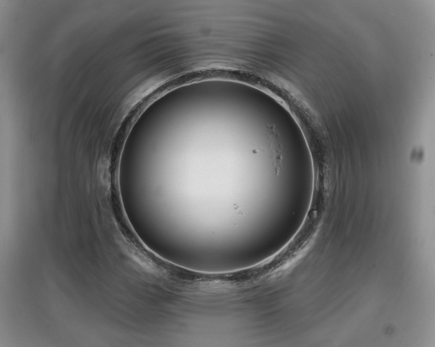 X0000097871113200803141252