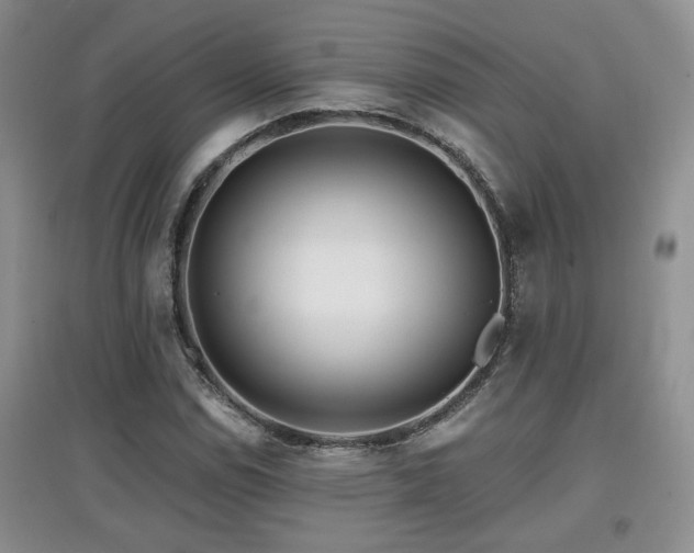 X0000097871114200803141252