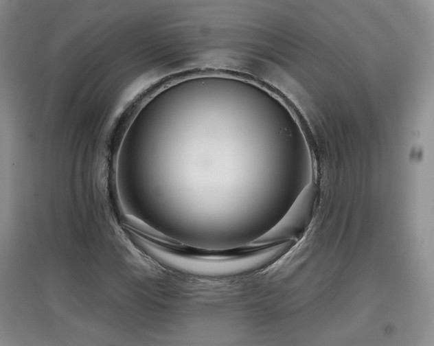 X0000097871115200803141252