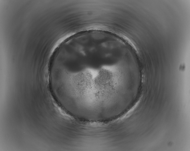 X0000097871117200803141252