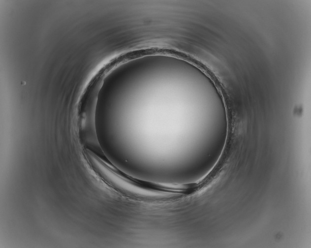 X0000097871118200803141252