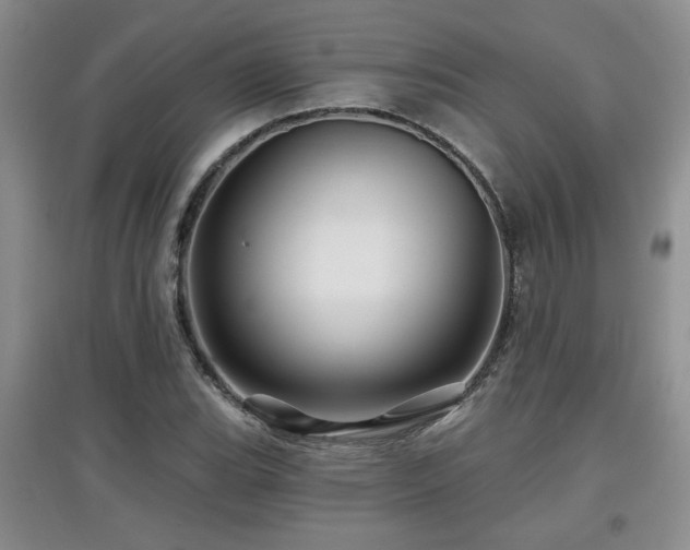 X0000097871119200803141252