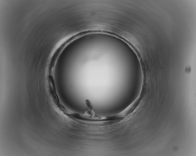X0000097871120200803141252