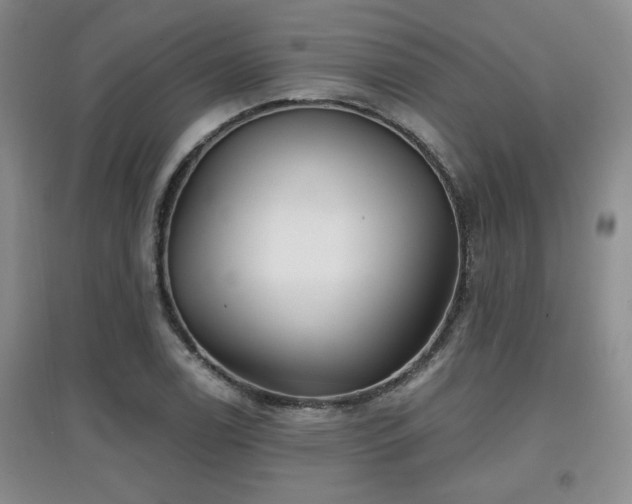 X0000097871122200803141252