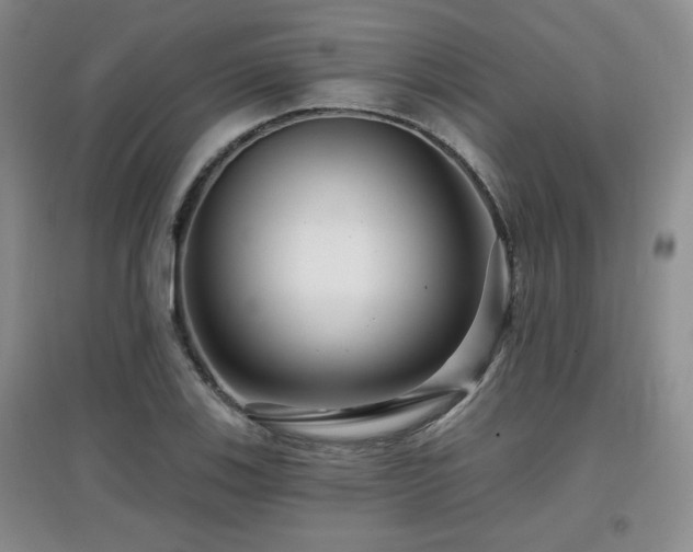 X0000097871123200803141252