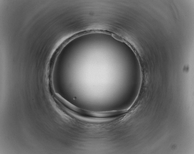 X0000097871124200803141252