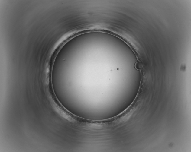 X0000097871126200803141252