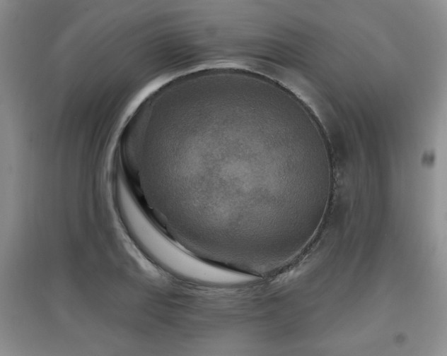 X0000097871127200803141252