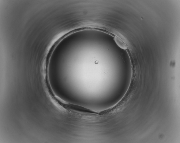 X0000097871128200803141252