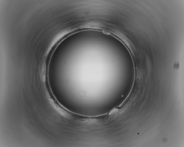 X0000097871131200803141252