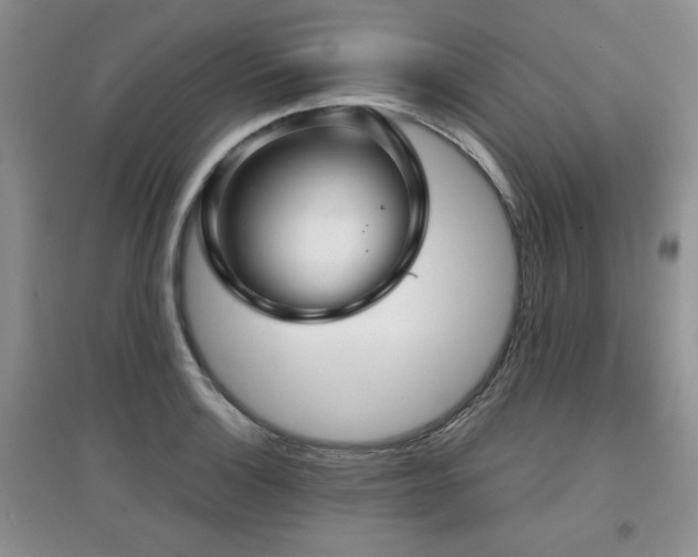 X0000097871132200803141252