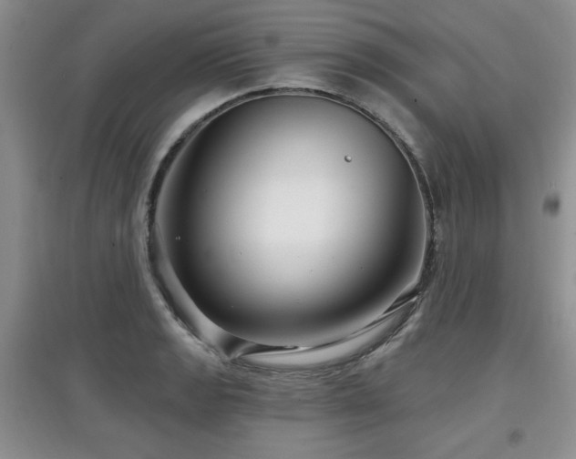 X0000097871133200803141252
