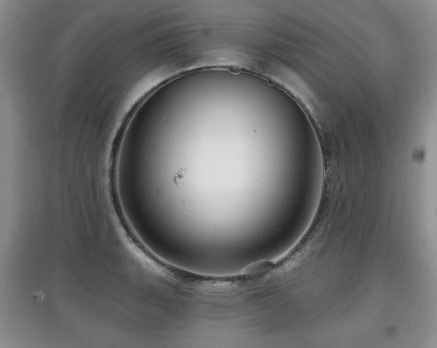 X0000097871135200803141252