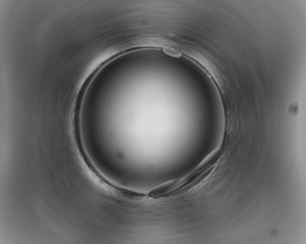 X0000097871139200803141252