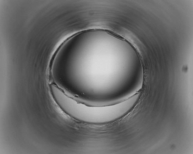 X0000097871140200803141252