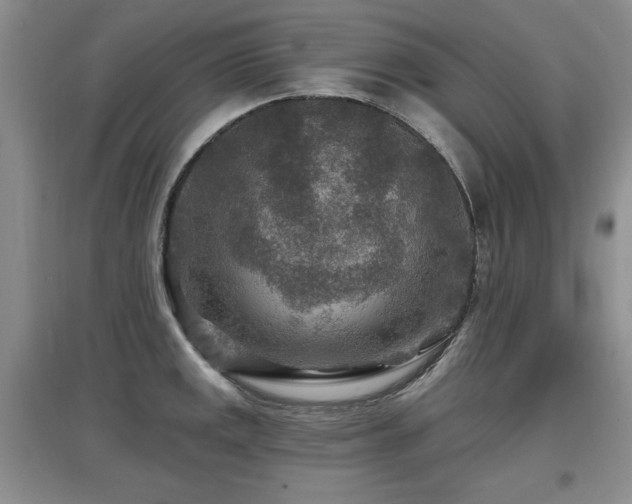 X0000097871141200803141252