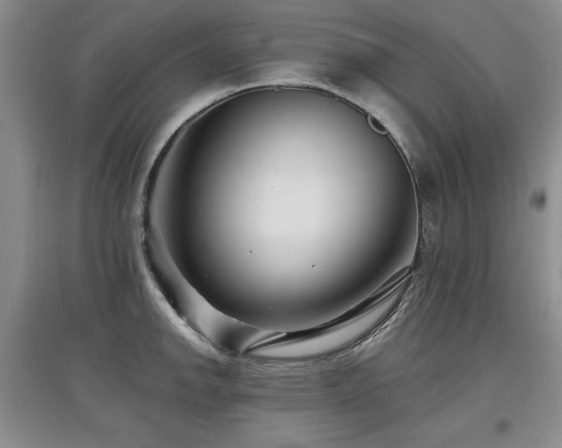X0000097871142200803141252