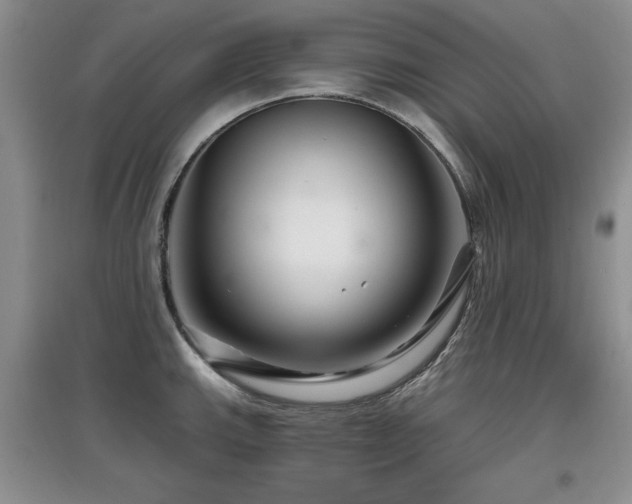 X0000097871143200803141252