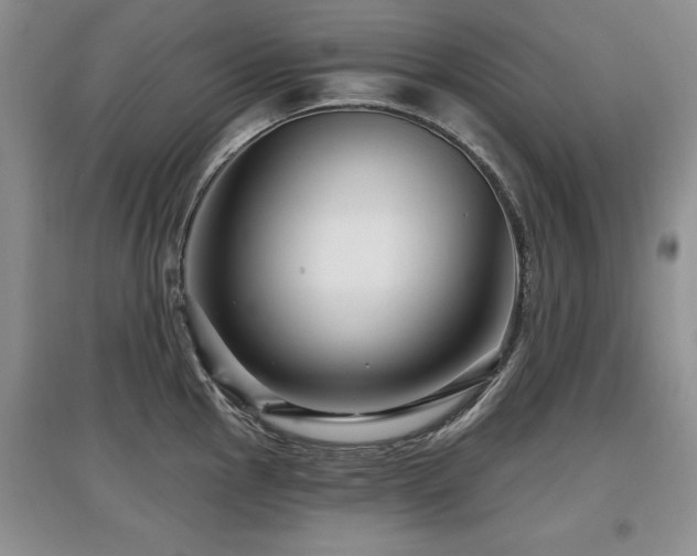 X0000097871145200803141252