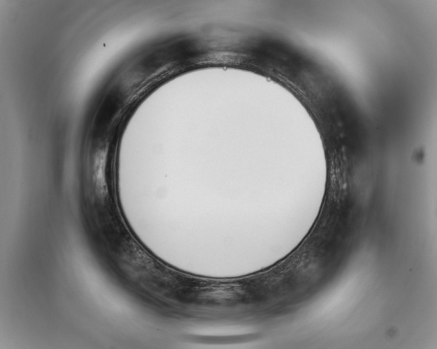 X0000097871150200803141252