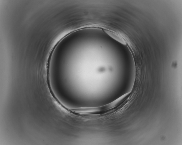 X0000097871151200803141252
