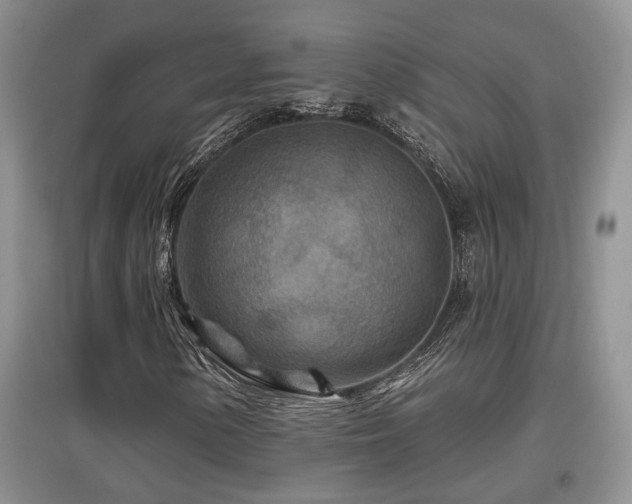 X0000097871154200803141252