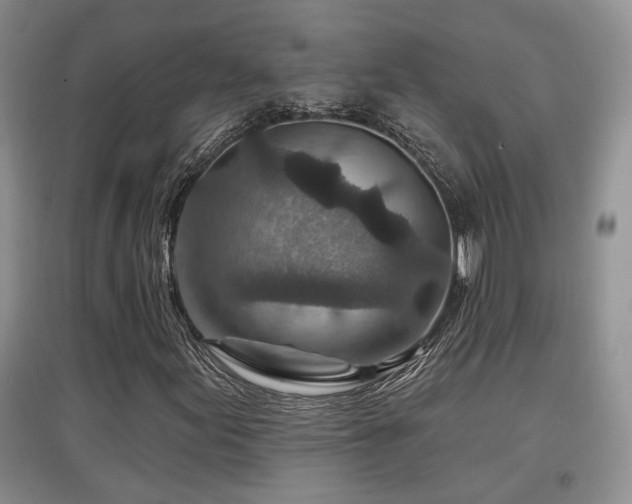 X0000097871155200803141252