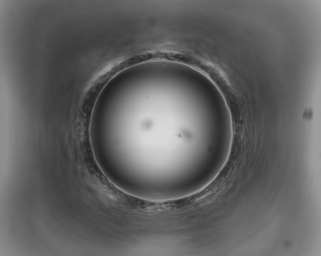 X0000097871159200803141252