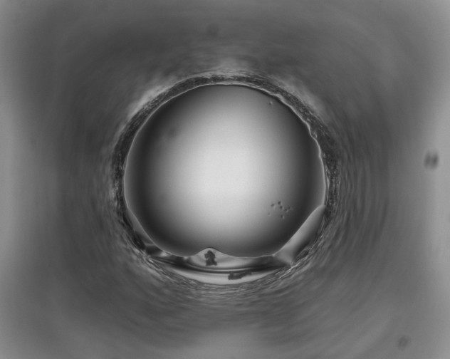 X0000097871160200803141252