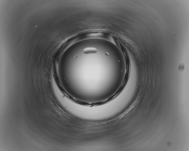X0000097871161200803141252