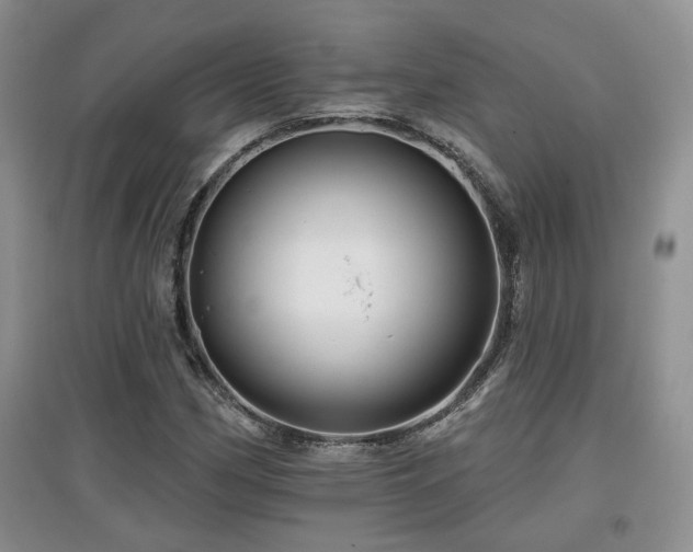 X0000097871162200803141252