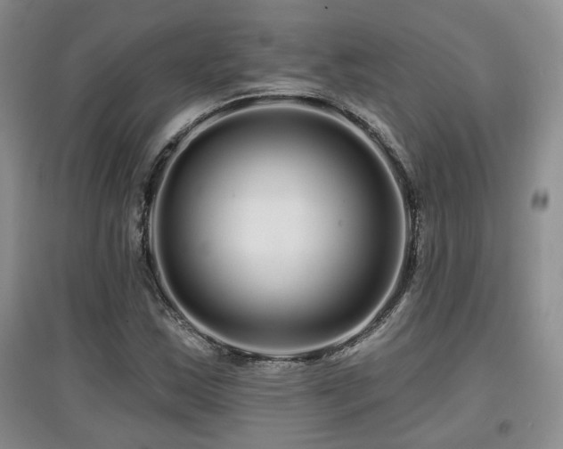 X0000097871163200803141252