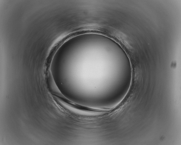 X0000097871164200803141252