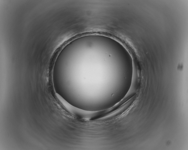 X0000097871165200803141251