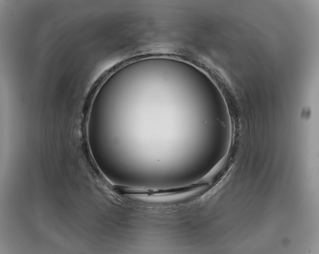 X0000097871166200803141251