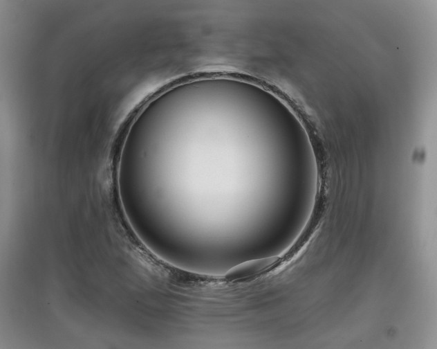 X0000097871167200803141251