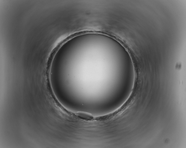 X0000097871168200803141251