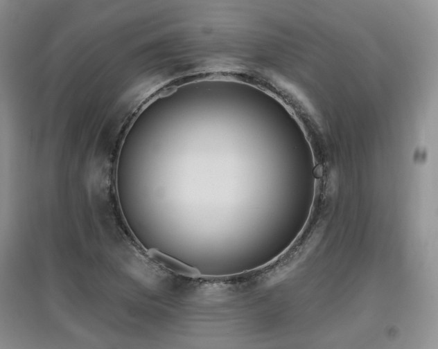 X0000097871169200803141251