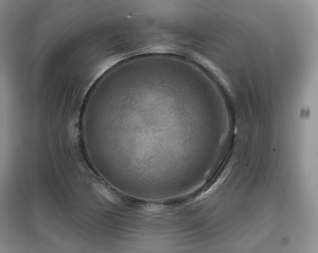 X0000097871170200803141251
